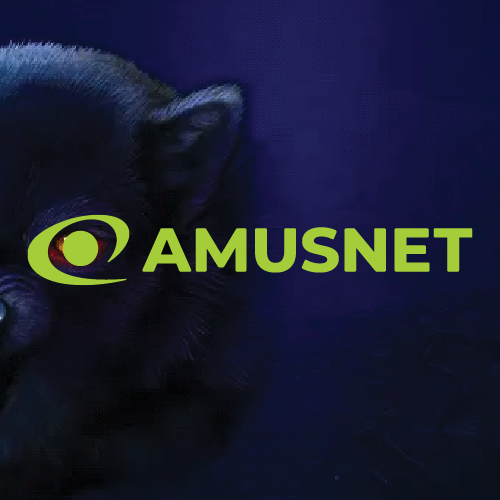 AMUSNET